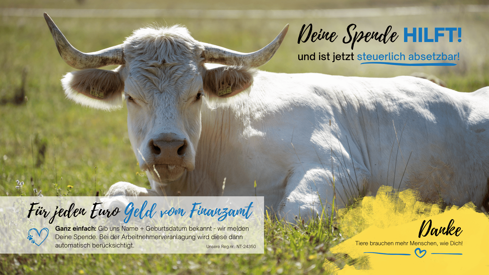 Spendenabsetzbarkeit seit 2024