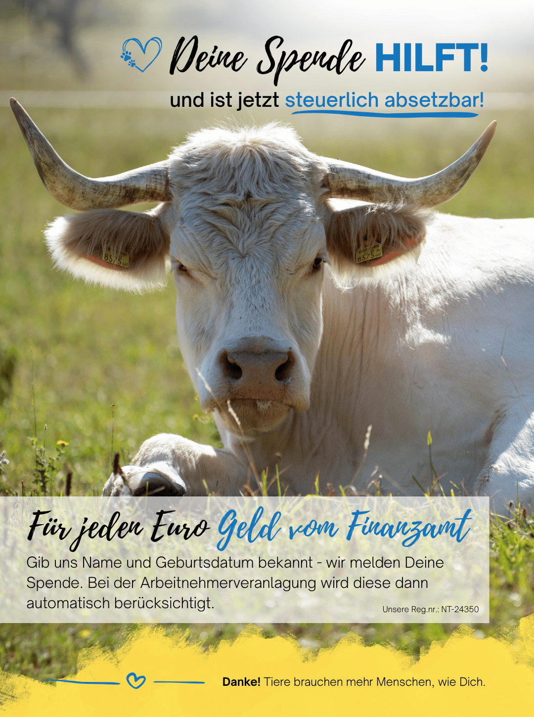 Spendenabsetzbarkeit seit 2024